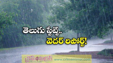 Heavy Rains Lash In Telangana And Andhra Pradesh IMD Issues Alerts