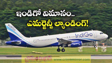 IndiGo Flight Chennai to Madurai Turns Back Mid Air After Technical Glitch