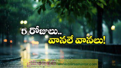 Rain Alert in Telangana IMD Issues Yellow Warning For Next 5 Days