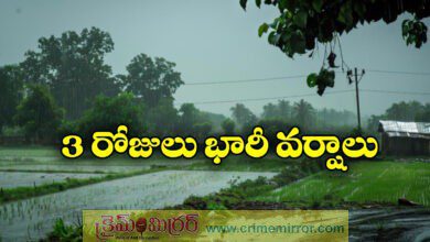 Rains likely in Andhra Pradesh and Telangana amid low-pressure