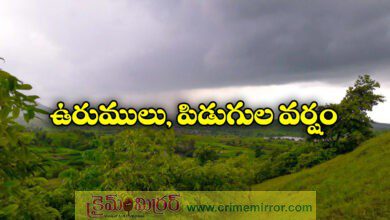 Telangana Weather Report Rain Alert In This Districts