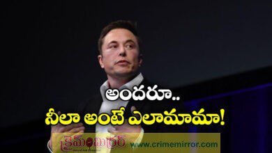 have three children to avoid population collapse says elon musk