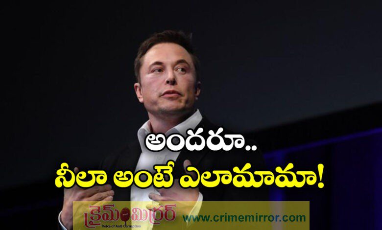 have three children to avoid population collapse says elon musk