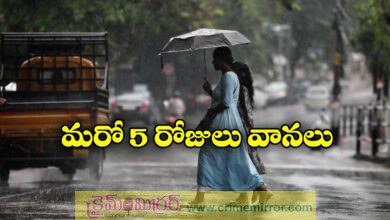 heavy rain likely in telangana for next five days imd issues yellow alert