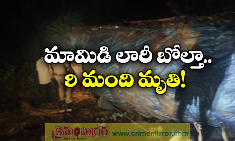 9 dead in road accident in Andhra Pradesh