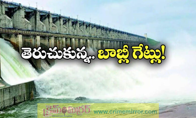 All 14 gates of Babli project lifted to let water to SRSP