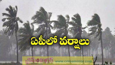 Heavy Rains In Andhra Pradesh