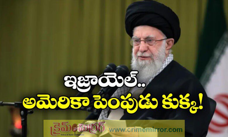 Iran's Supreme Leader Khamenei calls Israel dog on a leash of US