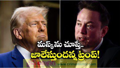 It's ridiculous Trump mocks Elon Musk's America Party