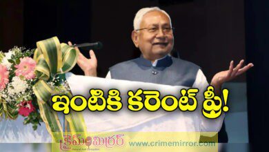 Nitish Kumar announces free electricity up to 125 units in Bihar