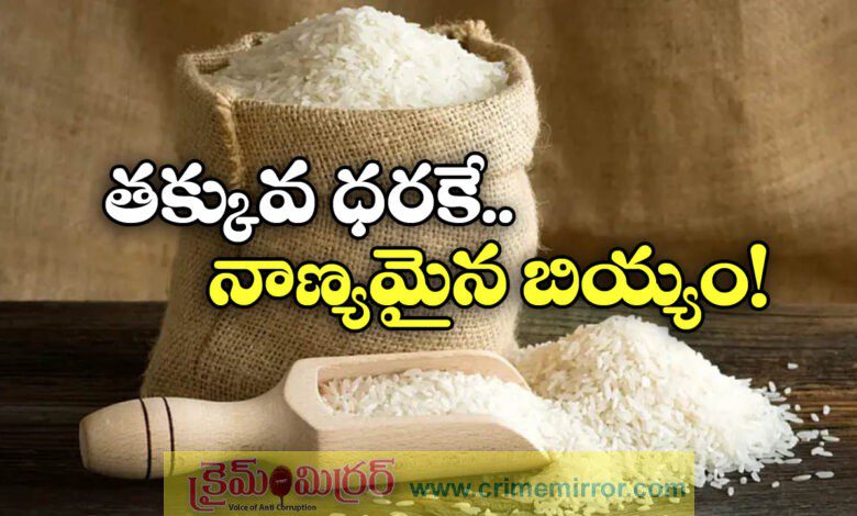 Government to continue Bharat brand Rice For prices stabilise