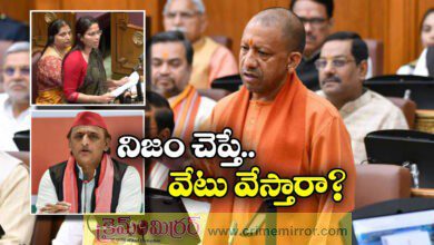 Samajwadi Party Expels MLA Pooja Pal After She Heaped Praise On CM Yogi In UP Assembly