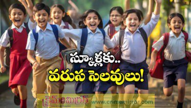 Three Days School Holidays for Students in Telugu States
