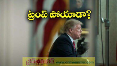 Trump is dead Why US President has become an unlikely trend