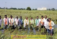 నష్ట పోయిన రైతులకు ఎకరాకు 40 వేలు ఇవ్వాలి