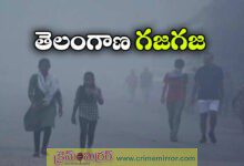 Cold wave grips Telangana on Nov 29,30 rains likely next week