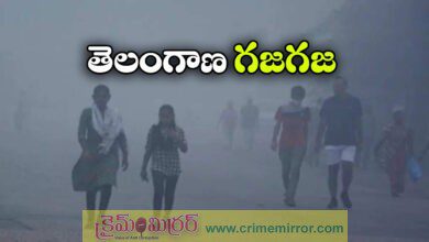 Cold wave grips Telangana on Nov 29,30 rains likely next week