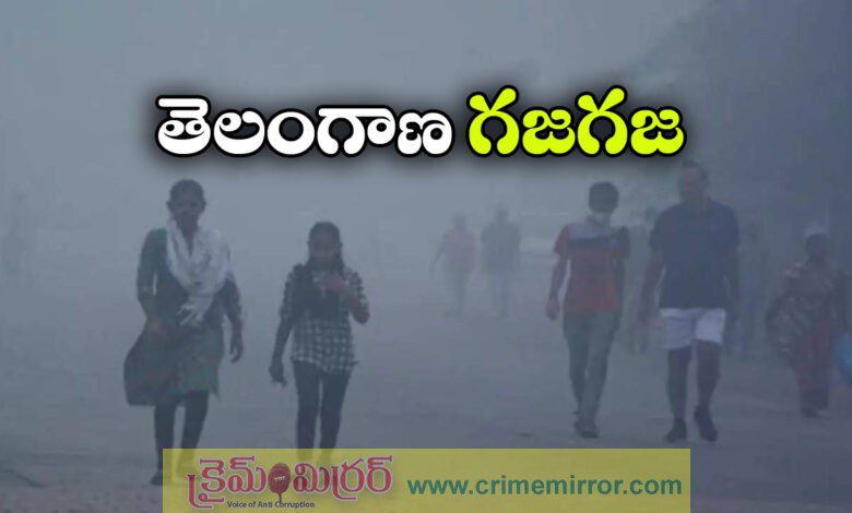 Cold wave grips Telangana on Nov 29,30 rains likely next week