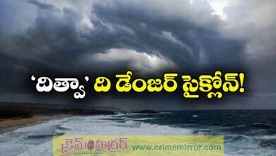 Cyclone Ditwah Update: Ditwah Cyclone Effect On Andhra Pradesh