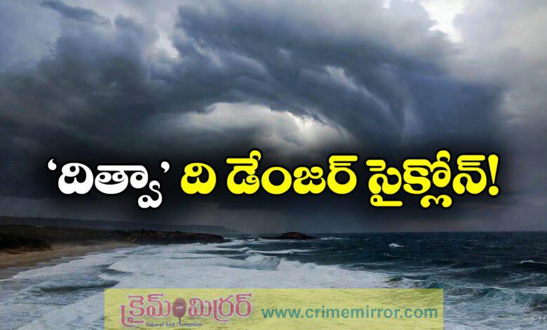 Cyclone Ditwah Update: Ditwah Cyclone Effect On Andhra Pradesh