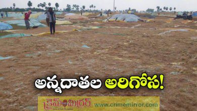 Farmers in Telangana are suffering from rain procurement delays caused by rains