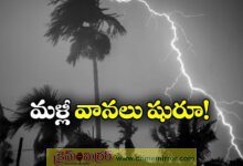 Thunderstorms Forecast Over South Coastal AP, Rayalaseema