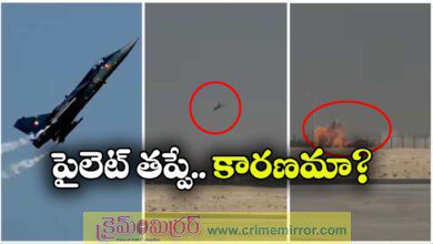 Tejas fighter Crash: Why IAFs Tejas fighter jet crashed in Dubai air show