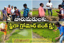 chamatkar zinc awareness program for nalgonda farmers organised by gromor company