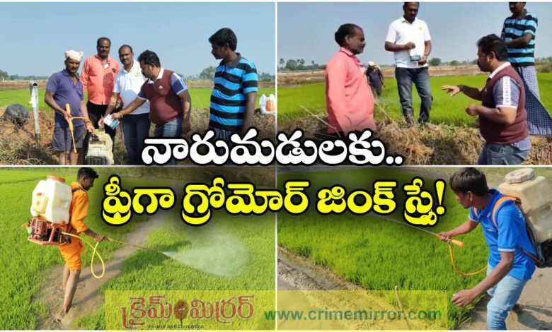 chamatkar zinc awareness program for nalgonda farmers organised by gromor company