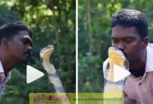 స్నేక్ క్యాచర్ చేసిన పనికి అందరు షాక్‌..!