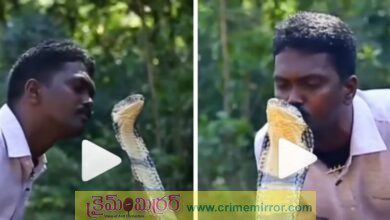 స్నేక్ క్యాచర్ చేసిన పనికి అందరు షాక్‌..!