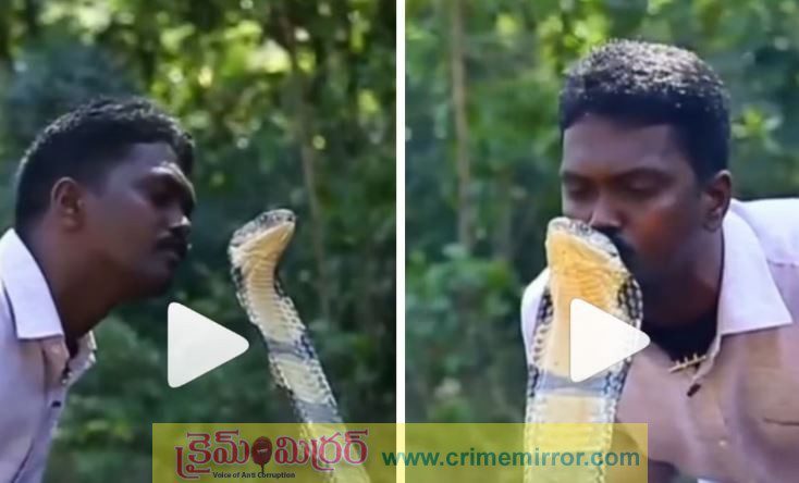 స్నేక్ క్యాచర్ చేసిన పనికి అందరు షాక్‌..!