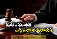 Allahabad High Court directs statewide probe into converts availing SC reservation benefits