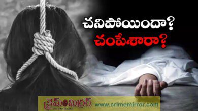 Andhra ias officers daughter commits suicide after marital dispute