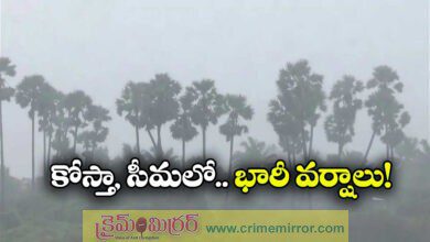 Cyclone Ditwah: Storm weakens into deep depression