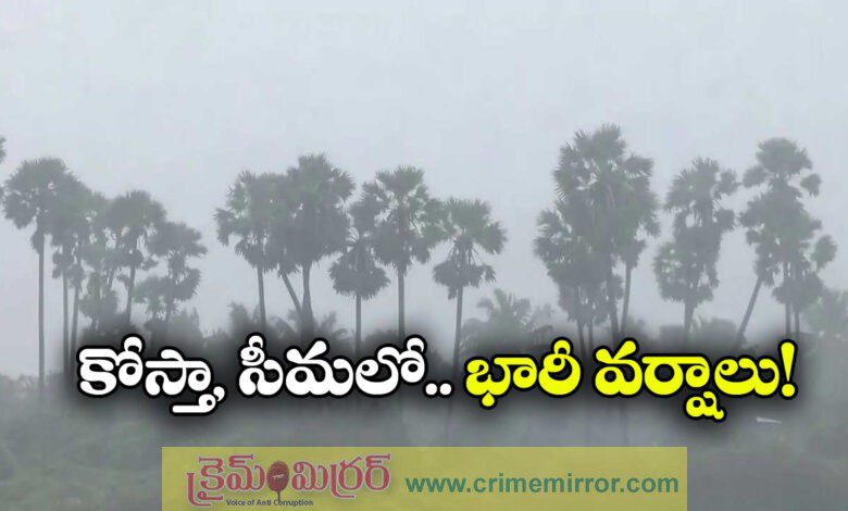 Cyclone Ditwah: Storm weakens into deep depression