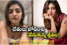 Deeply Disturbing And Devastating Sreeleela On AI Deepfakes