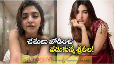 Deeply Disturbing And Devastating Sreeleela On AI Deepfakes