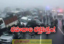 Dense fog causes 20 vehicle pile up on Delhi-Mumbai expressway, 4 killed