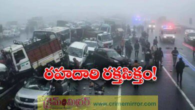 Dense fog causes 20 vehicle pile up on Delhi-Mumbai expressway, 4 killed