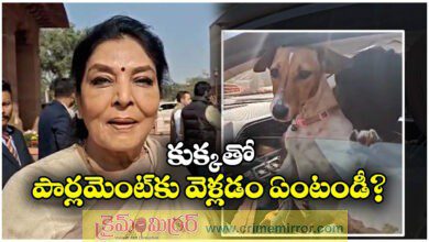 Dog Row: Renuka Chowdhury Brings Dog to Parliament