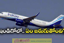 IndiGo Crisis: Why the airline was hit hardest