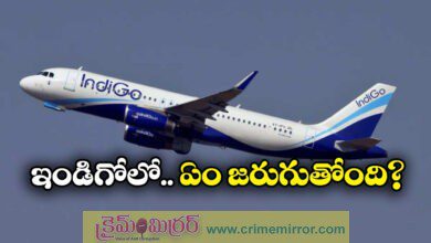 IndiGo Crisis: Why the airline was hit hardest