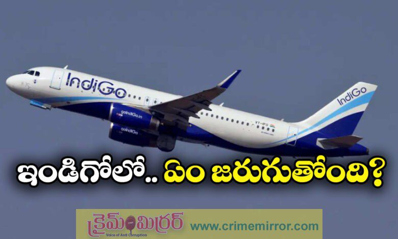IndiGo Crisis: Why the airline was hit hardest