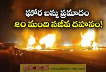 More than 20 people burnt alive when truck hit private travel bus