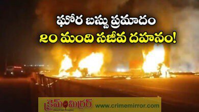 More than 20 people burnt alive when truck hit private travel bus