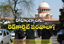 Red carpet for intruders? Supreme Court's sharp stance on Rohingyas