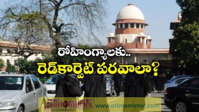 Red carpet for intruders? Supreme Court's sharp stance on Rohingyas