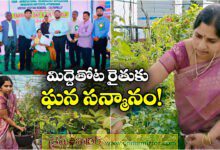 Suryapet Collector Tejas Nandalal felicitated terrace garden farmer Nallapati Mamata Srikanth