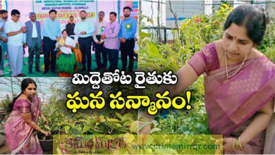 Suryapet Collector Tejas Nandalal felicitated terrace garden farmer Nallapati Mamata Srikanth
